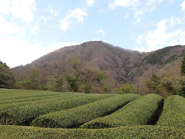 イメージ画像